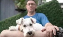 看萌狗最新爆料视频,看萌狗最新爆料视频，萌宠日常曝光